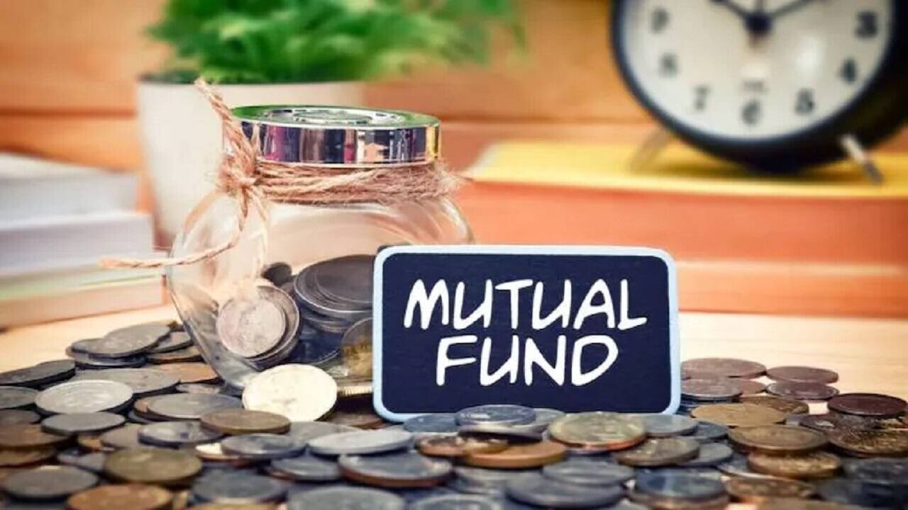 How to Balance portfolio with Large Cap Funds
